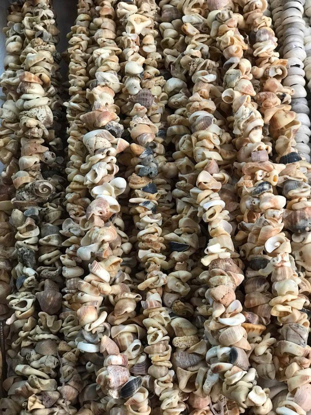 140+ African Shell Beads, Sea Shell, Jewelry Making Beads - Etsy