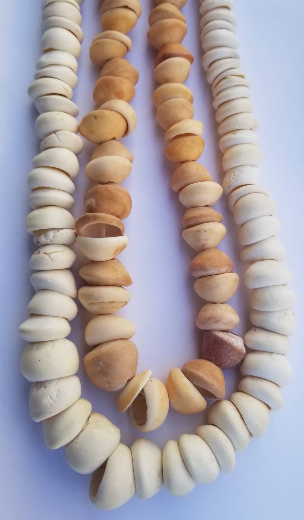 African SeaShell Beads Natural Seashell Etsy