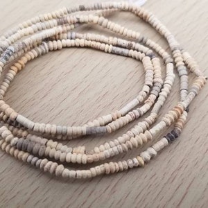 Puede incluir: Una hebra de cuentas de concha blancas y beige, dispuestas en círculo sobre una superficie marrón claro.