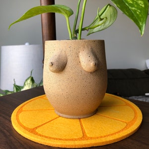 May include: A beige ceramic planter with a unique design featuring two raised bumps. The planter is filled with a green plant and is sitting on a yellow circular coaster.