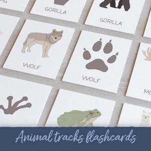 Animal Tracks Flashcards Montessori Matching Game, Nature Study Cards, Preschool Animals Footprint Learning Resource, Digital Download