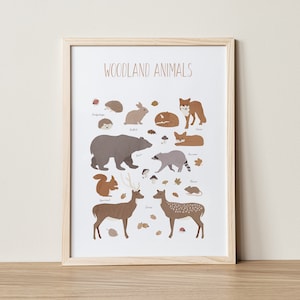 Woodland Nursery, Educational Posters, Woodland Animals Print, Forest Animals Print, Montessori, Nursery Wall Art, Woodland Nursery Decor