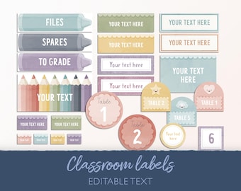 Editable Rainbow Classroom Labels: Teacher Toolbox Organizer (Digital Download)