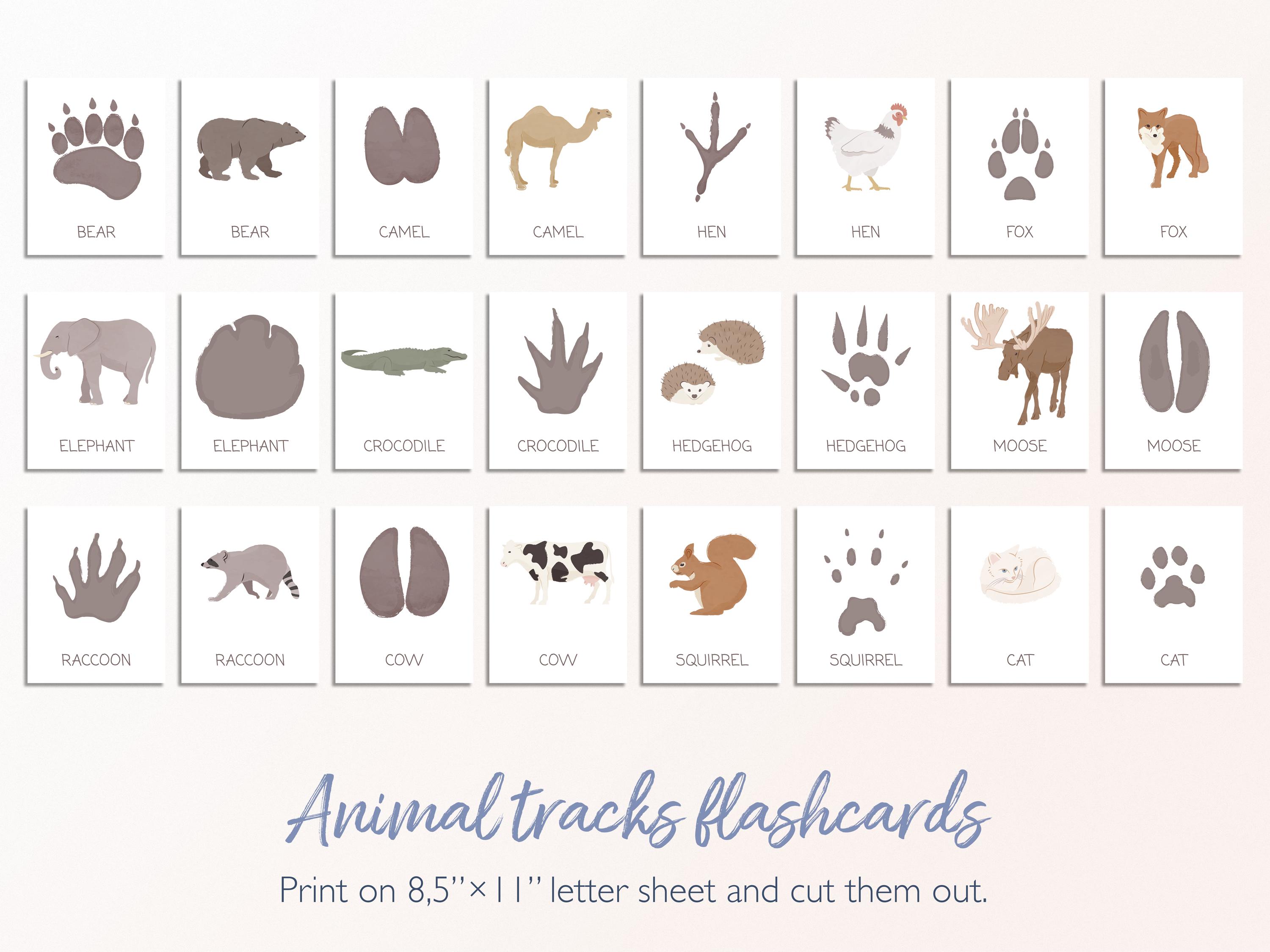 Animal Tracks Flashcards: Montessori Nature Study (digital Download) - Etsy