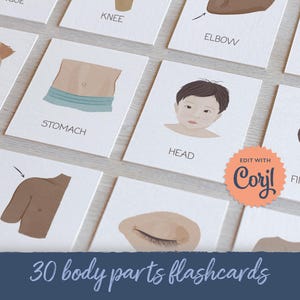 30 bearbeitbare Körperteile Karteikarten, Kleinkind Anatomie Karten, Montessori Lernkarten, Vorschule, Heimschule, Lehrerressource, DIGITAL