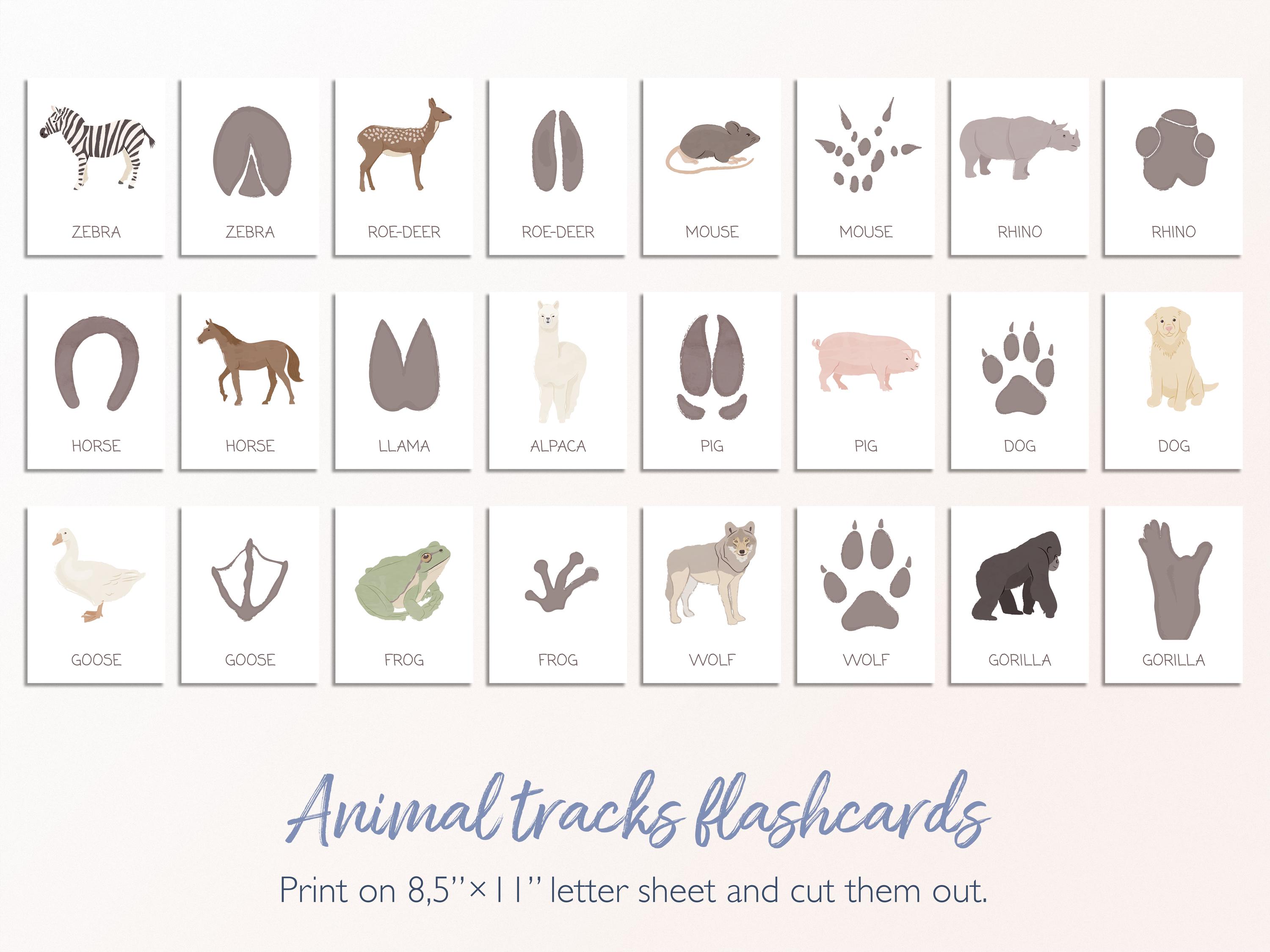 Animal Tracks Flashcards: Montessori Nature Study (digital Download) - Etsy