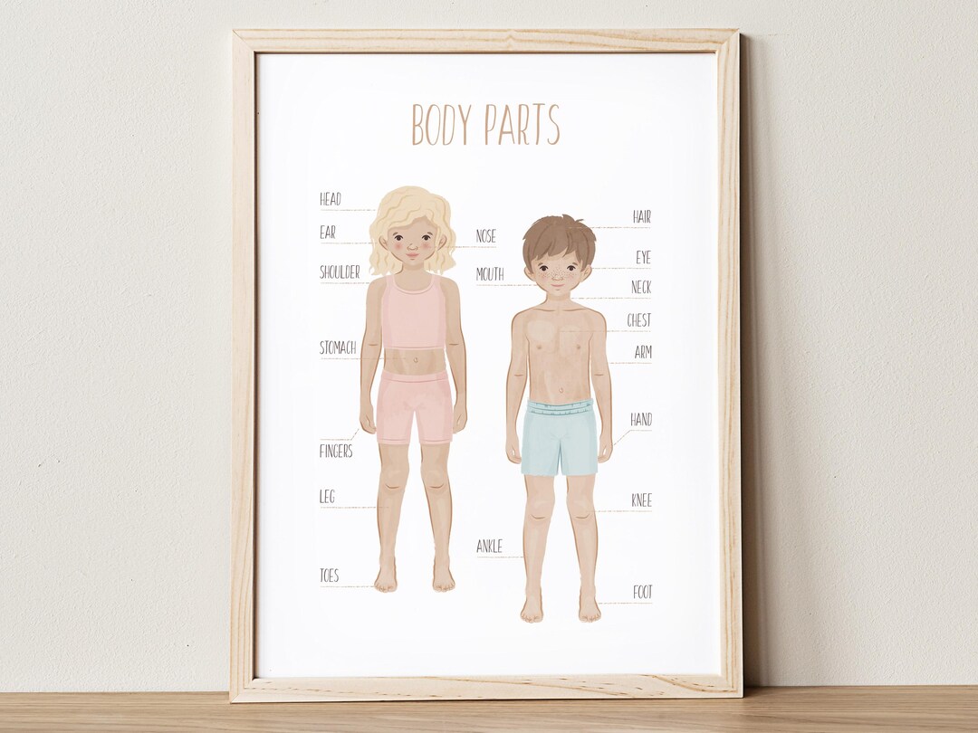 My Body Parts Poster for Kids, Montessori Educational Poster, Preschool ...