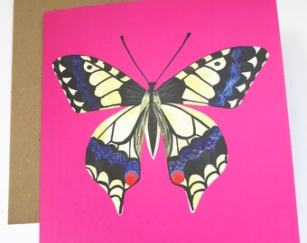 May include: A bright pink card with a black and yellow butterfly with blue accents. The butterfly has red spots on its wings.