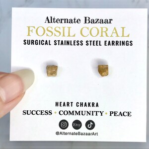 May include: A pair of fossil coral earrings on a white card. The card reads "Alternate Bazaar FOSSIL CORAL SURGICAL STAINLESS STEEL EARRINGS." The card also includes the words "HEART CHAKRA SUCCESS COMMUNITY PEACE."