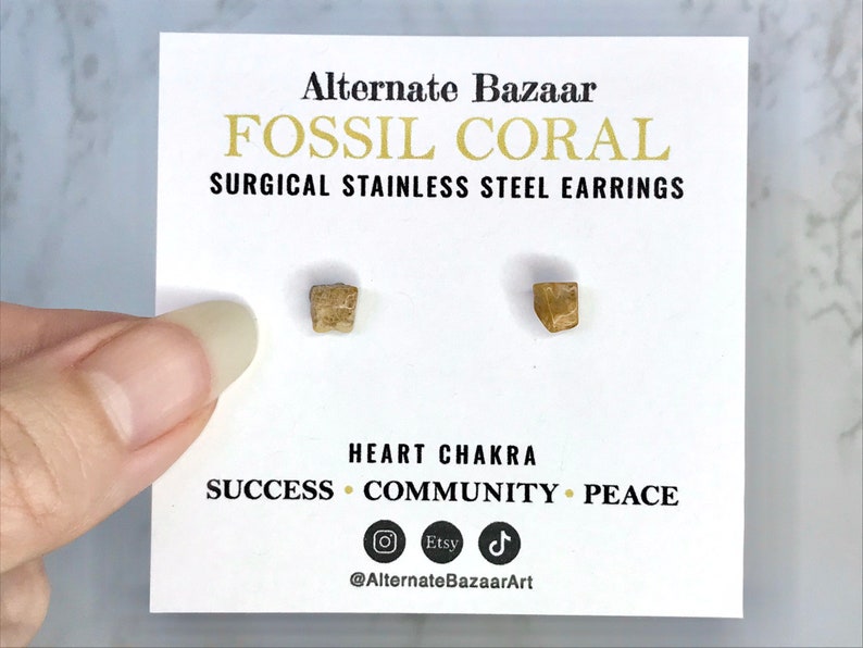 May include: A pair of fossil coral earrings on a white card. The card reads "Alternate Bazaar FOSSIL CORAL SURGICAL STAINLESS STEEL EARRINGS." The card also includes the words "HEART CHAKRA SUCCESS COMMUNITY PEACE."