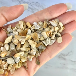 May include: A handful of small, irregularly shaped beige, tan, and off-white decorative gravel. The gravel pieces vary in size and texture, with some appearing smooth and others more rough. The gravel is suitable for crafts, terrariums, or other decorative uses.
