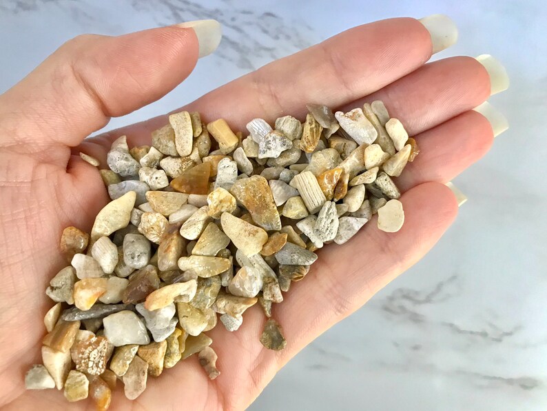 May include: A handful of small, irregularly shaped beige, tan, and off-white decorative gravel. The gravel pieces vary in size and texture, with some appearing smooth and others more rough. The gravel is suitable for crafts, terrariums, or other decorative uses.