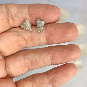 May include: Two small, irregularly shaped, light-colored stones. The stones have a rough texture and appear to be natural. They are displayed on a light background.
