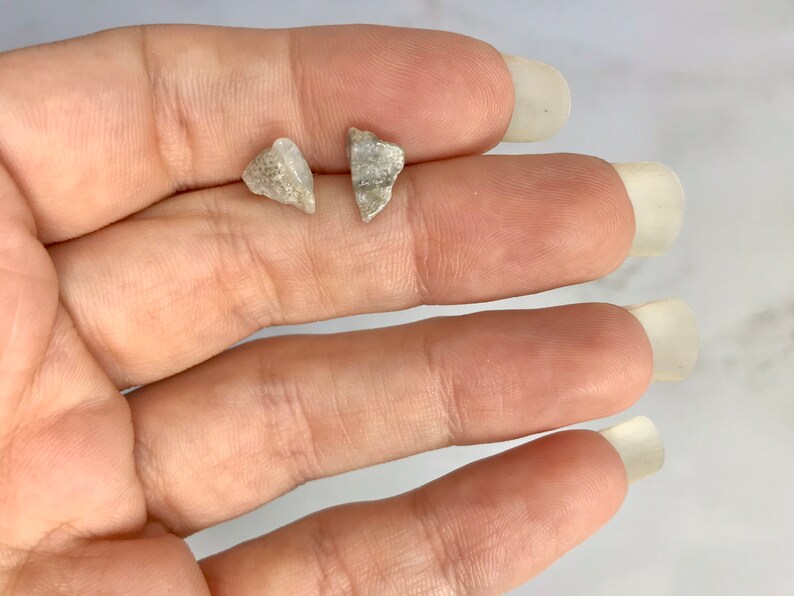 May include: Two small, irregularly shaped, light-colored stones. The stones have a rough texture and appear to be natural. They are displayed on a light background.