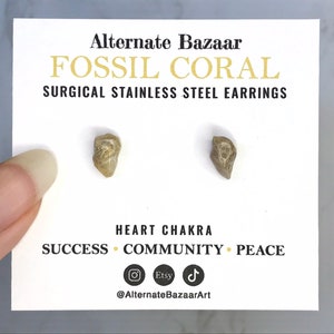 May include: Fossil coral stud earrings on a white card. The card has text that reads "Alternate Bazaar" and "Fossil Coral Surgical Stainless Steel Earrings." The earrings are a light brown color. The card also has the words "Heart Chakra, Success, Community, Peace."