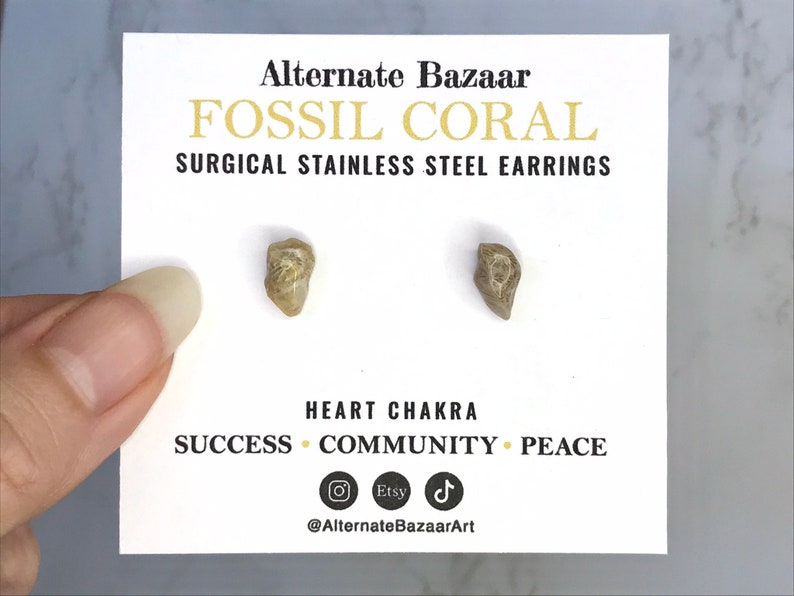 May include: Fossil coral stud earrings on a white card. The card has text that reads "Alternate Bazaar" and "Fossil Coral Surgical Stainless Steel Earrings." The earrings are a light brown color. The card also has the words "Heart Chakra, Success, Community, Peace."