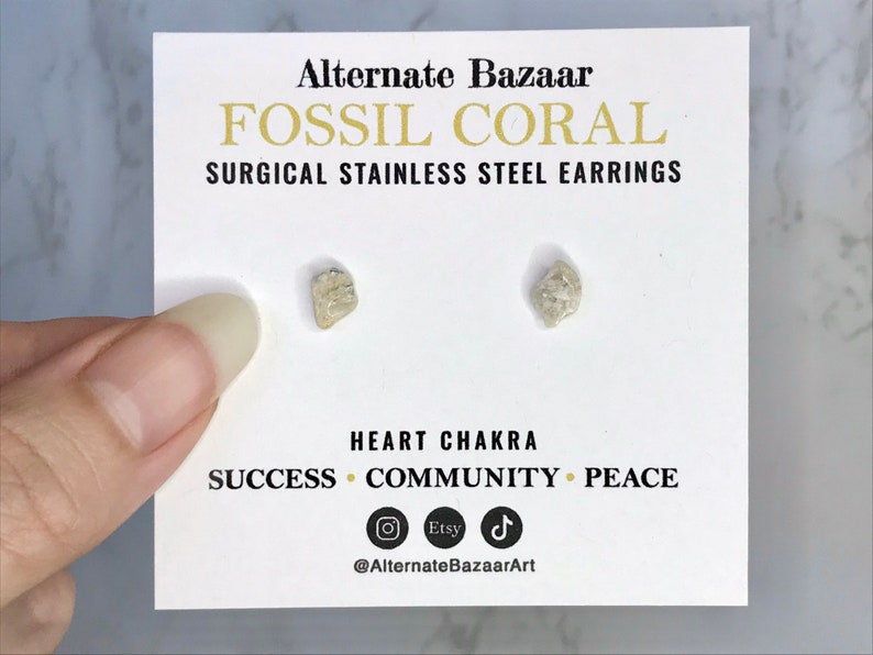 May include: A pair of fossil coral stud earrings on a white card. The card reads "Alternate Bazaar FOSSIL CORAL SURGICAL STAINLESS STEEL EARRINGS." The card also includes the words "HEART CHAKRA SUCCESS COMMUNITY PEACE."