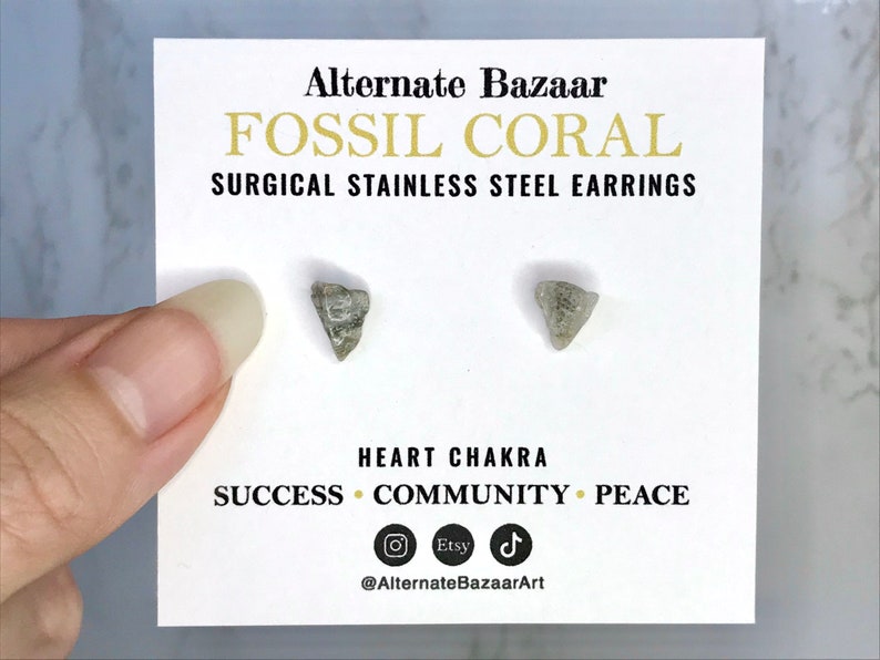 May include: Fossil coral earrings on a white card. The card reads "Alternate Bazaar Fossil Coral Surgical Stainless Steel Earrings." The earrings are small, gray, and triangular. The card also includes the words "Heart Chakra, Success, Community, Peace."
