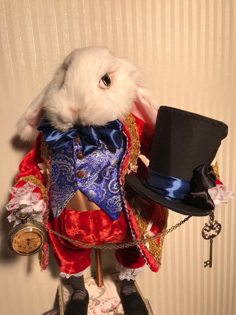Weißer Hase von Alice im Wunderland Etsy Weißer Hase von Alice im Wunderland Etsy