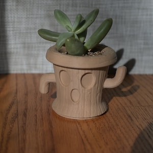 Gyroid Planter for Small & Medium Plants, Succulents, Cactus,  and Air Plants