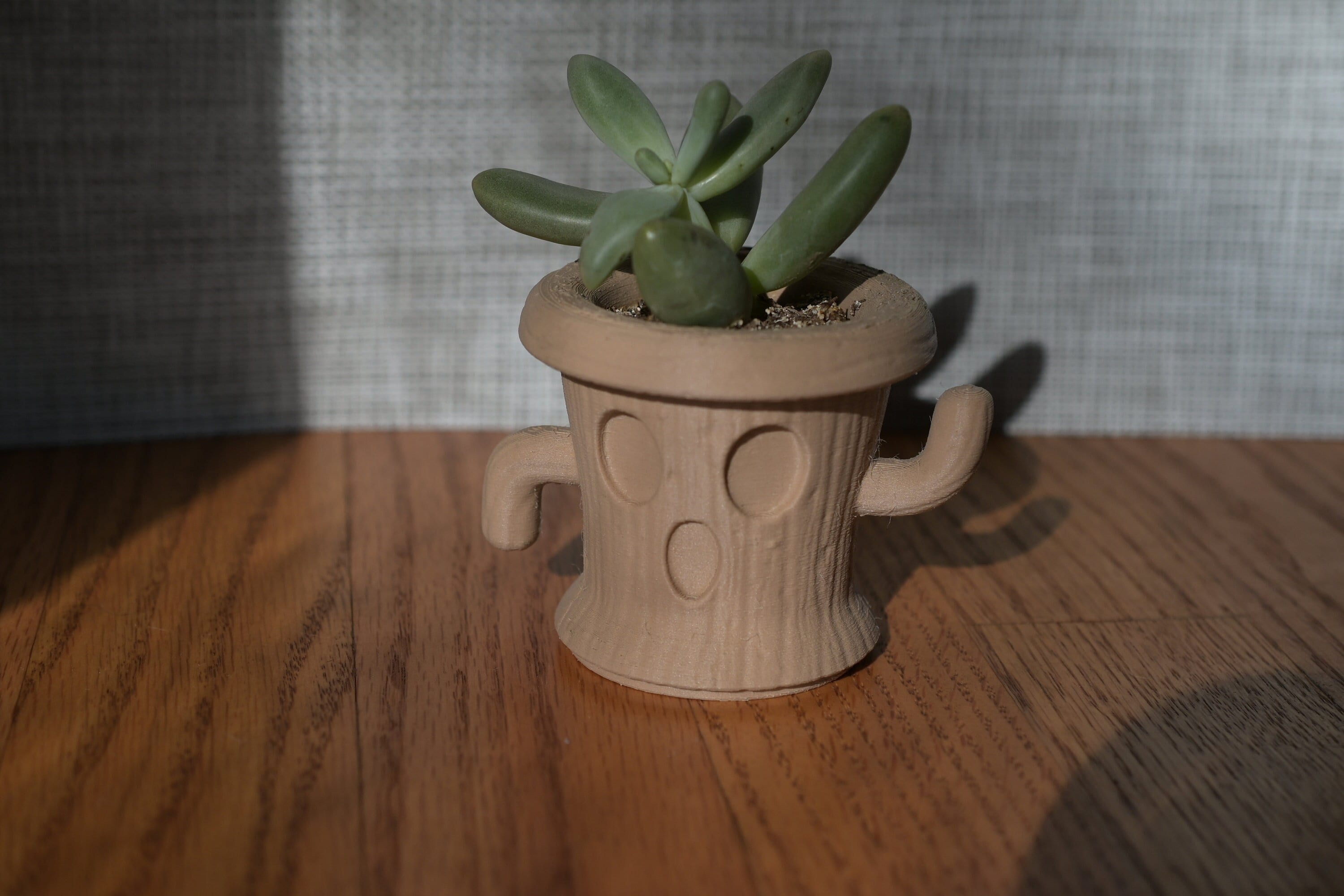 grid plants Cut Flower Grid Support main image 0