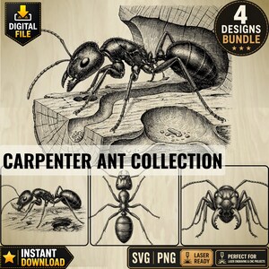 Carpenter Ant Bundle SVG PNG | Carpenter Ant Collection | Vintage Ant Engraving | Laser Engraving Files | CNC Digital Download