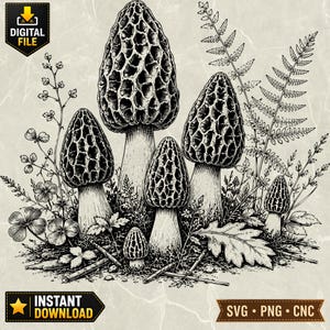 May include: Black and white illustration of morel mushrooms with detailed textured caps, surrounded by foliage. The image includes the text "DIGITAL FILE" and "INSTANT DOWNLOAD".