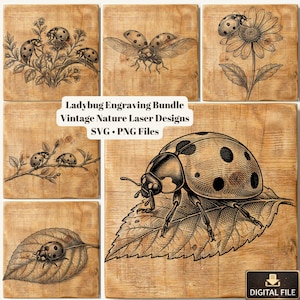 May include: A collection of vintage-style ladybug engravings on wooden backgrounds. The images feature detailed illustrations of ladybugs, some with wings spread, on leaves and flowers. Text reads "Ladybug Engraving Bundle Vintage Nature Laser Designs SVG • PNG Files."