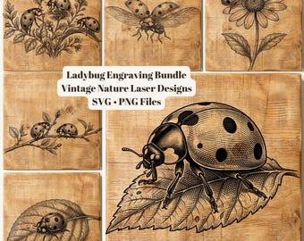 Vintage Marienkäfer Gravur Bundle, Natur Insekt Laserschnitt Dateien (SVG PNG)
