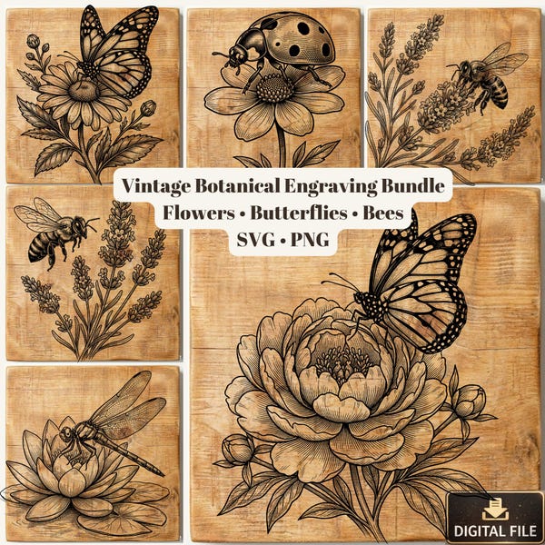 Paquete de grabados botánicos vintage, flores, mariposas y abejas en formato SVG y PNG (descarga digital).