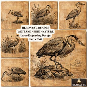 May include: A set of square wooden tiles with detailed illustrations of herons in different poses. The images are in a vintage style, with the text "HERON SVG BUNDLE, WETLAND, BIRD, NATURE, Laser Engraving Design, SVG, PNG".