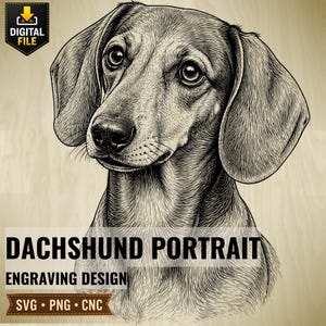May include: A detailed black and white line art illustration of a dachshund dog head. The image includes the text DIGITAL FILE, DACHSHUND PORTRAIT ENGRAVING DESIGN, and SVG PNG CNC. The artwork features fine cross-hatching and shading techniques.