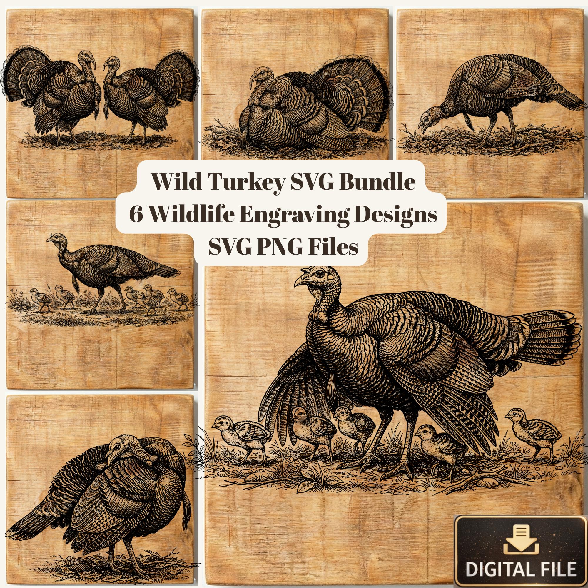 Wild Turkey SVG Bundle, Engraving Style Wildlife Designs (SVG PNG