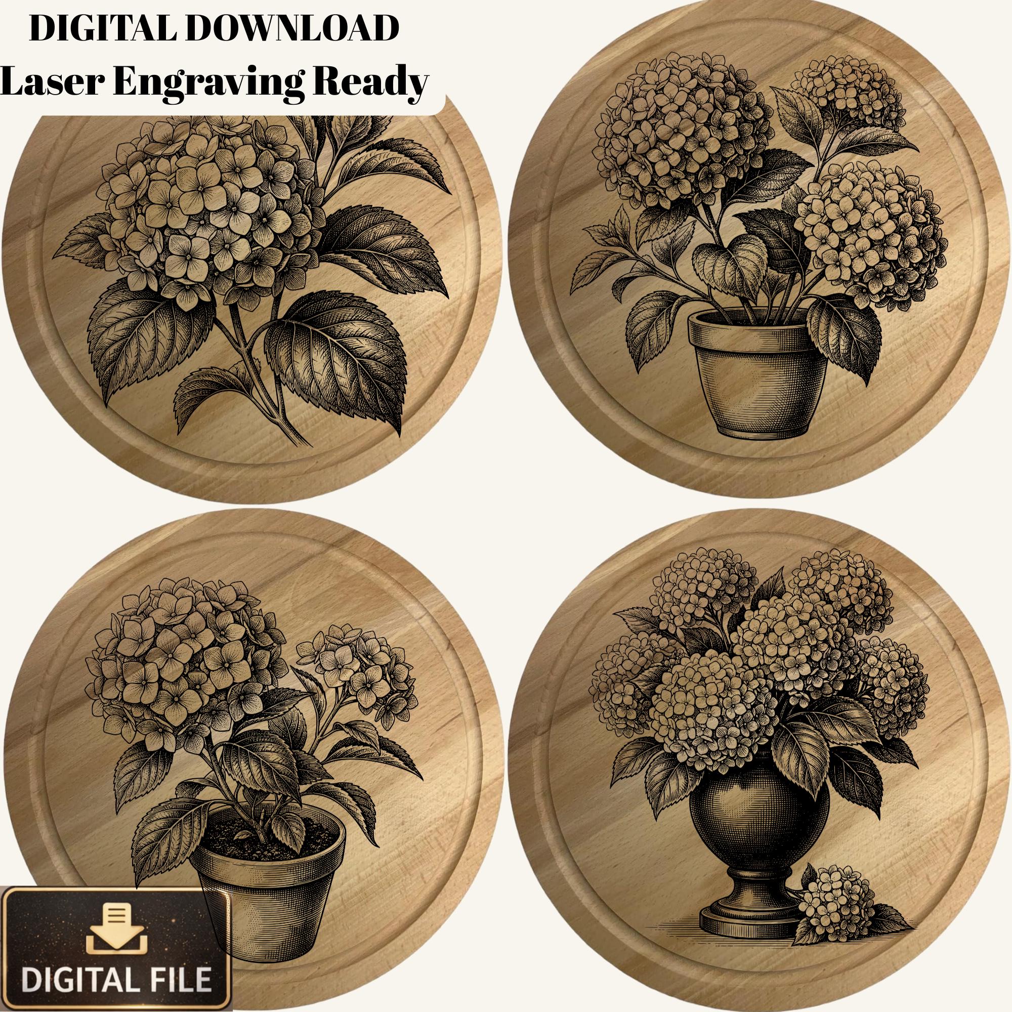 Hydrangea Laser Engraving Designs | Floral SVG PNG Bundle (digital