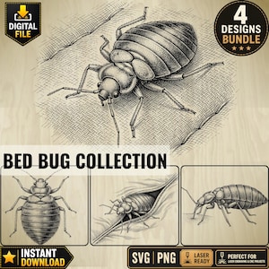 May include: A digital file bundle featuring four detailed black and white illustrations of bed bugs. The collection includes top-down, side, and crevice views of the insect, labeled with the text BED BUG COLLECTION, 4 DESIGNS BUNDLE, and SVG PNG.