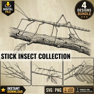 May include: A digital file bundle featuring four black and white line art illustrations of stick insects on branches. The collection includes detailed drawings of insects on twigs and leaves, labeled with the text STICK INSECT COLLECTION.