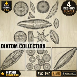 Pode incluir: Uma coleção digital de ilustrações em preto e branco com várias formas de diatomáceas, incluindo estruturas circulares, alongadas e em forma de estrela. A imagem inclui os textos "DIGITAL FILE", "4 DESIGNS BUNDLE", "DIATOM COLLECTION" e "INSTANT DOWNLOAD".