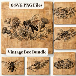 May include: A set of six SVG and PNG files with vintage bee illustrations. The main image shows a detailed bee design with flowers and the text "Vintage Bee Bundle". Other images include bees on branches and a honeycomb.