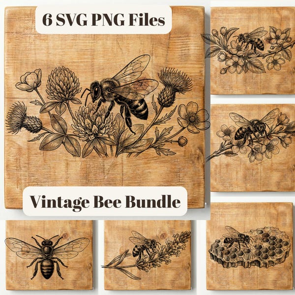 Paquete de archivos SVG con grabados de abejas vintage, imágenes prediseñadas de panales y decoración rústica (6 archivos)