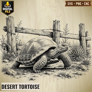 May include: A black and white digital illustration of a tortoise walking on rocky ground in front of a wooden fence. The image features the text "DIGITAL FILE" in a black shield, "SVG • PNG • CNC" in a brown banner, and "DESERT TORTOISE" at the bottom.
