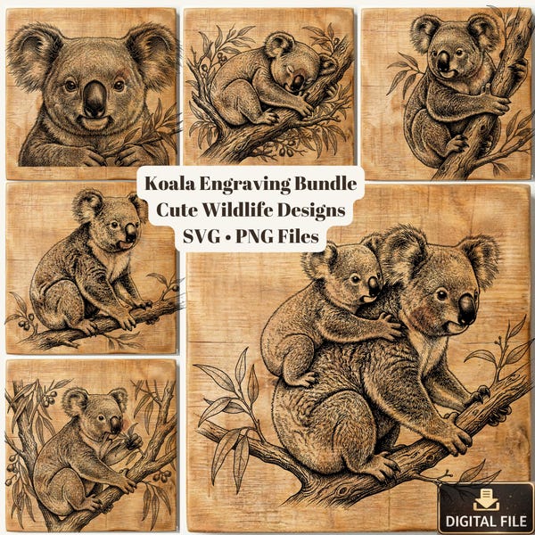 Paquete de grabados de koalas, diseños de fauna vintage (archivos SVG y PNG)
