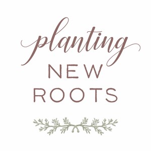 Live Evergreen Sapling, Housewarming Gift, Planting New Roots Tree immagine 4