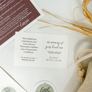 Puede incluir: Una colecci&oacute;n de tarjetas y una peque&ntilde;a bolsa de yute. Las tarjetas presentan textos como &laquo;Instrucciones&raquo;, &laquo;en memoria de su ser querido&raquo; y &laquo;&iexcl;Bienvenido a la familia!&raquo;. Las tarjetas son blancas con detalles en verde y marr&oacute;n. La bolsa tiene un cierre de cord&oacute;n.