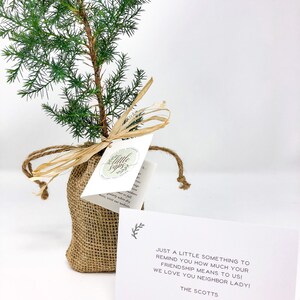 Pu&ograve; includere: Un piccolo albero sempreverde in un sacco di juta, legato con rafia e un'etichetta. Un biglietto bianco con il testo: "Solo un piccolo pensiero per ricordarti quanto conta la tua amicizia per noi! Ti vogliamo bene vicina!"
