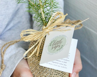 Your Roots Are Strong Gift Tree | Inspirational Gift | Meaningful & Thoughtful Gift to Encourage a Friend | Gift for a Hard Time