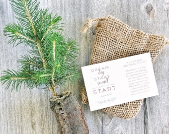 12 DIY Tree Seedling Favors | Wedding Favors | Party Favors | Baby Shower Favors | Event Favors