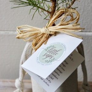 Árbol joven de hoja perenne, árbol conmemorativo, regalo de condolencia, en memoria de un ser querido. Cotton Linen Sack