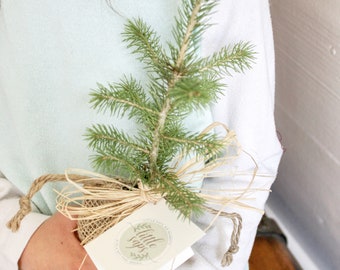 Planting New Roots Gift Tree | Housewarming Gift | Inspirational Gift | New Job Gift | New Beginnings Gift | Graduation Gift