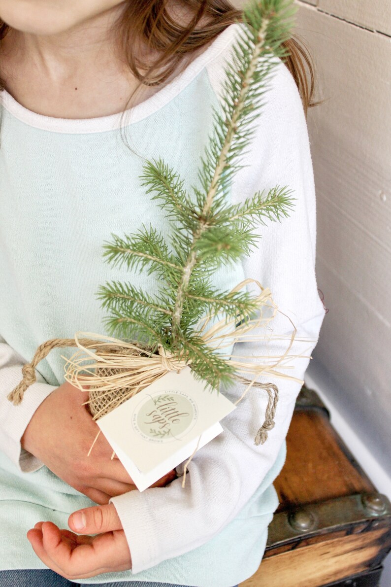 Planting New Roots Gift Tree Housewarming Gift Etsy