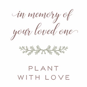 Your Loved One Gift Tree Memorial Gift Tree Sympathy Gift Tree Plant in Memory of Your Loved One image 2